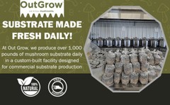 Mushroom Substrate Casing Soil ( 10 One Pound Bags)