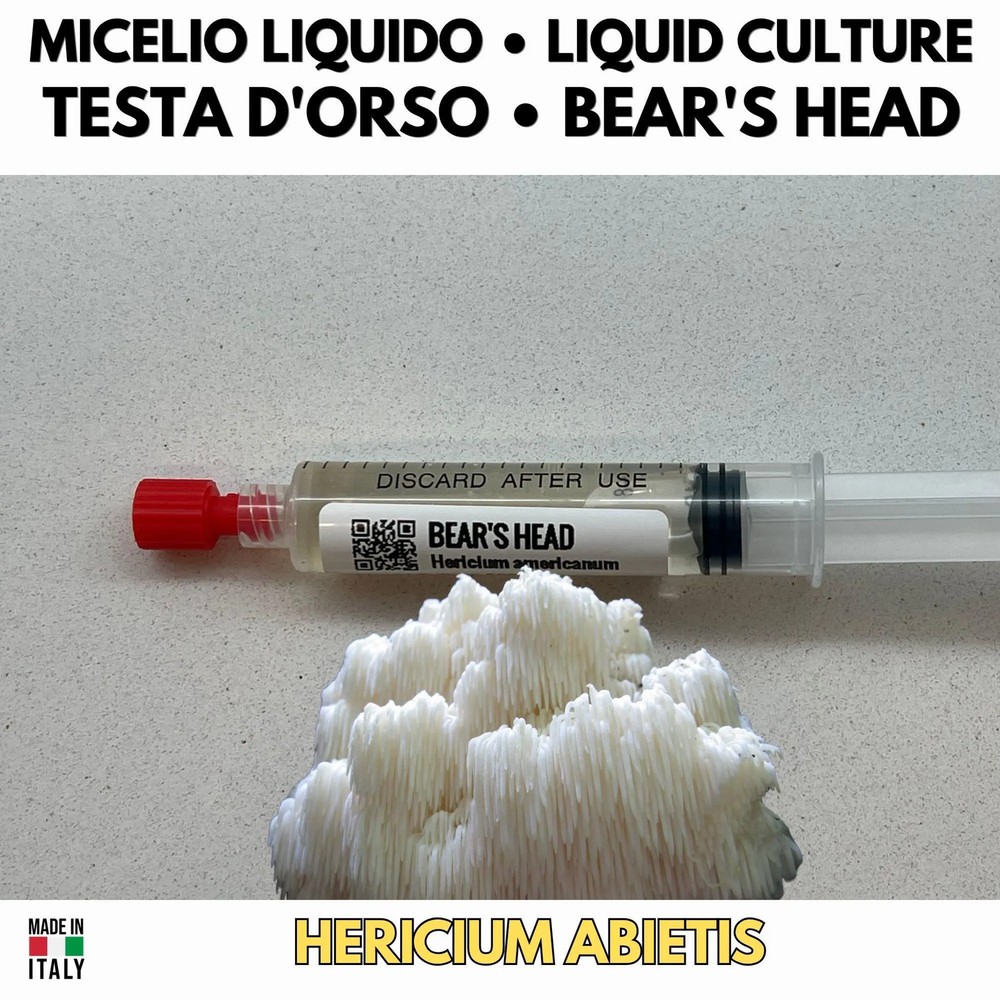 Bear Head Liquid Culture Mushroom Hericium Abietis Mycelium Live 10ml