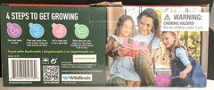 Strawberry Shortcake Decorate & Grow Starter Kit for Kids – Brand New in Box