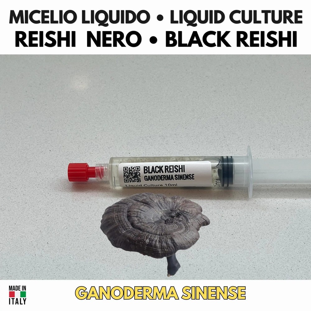 Ganoderma sinense Reishi Black Liquid Culture Mycelium Rare Cultivation 10ml