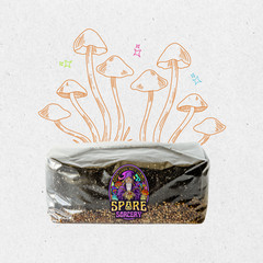 6 Pack | 6 lb All-in-One Mushroom Grow Kit