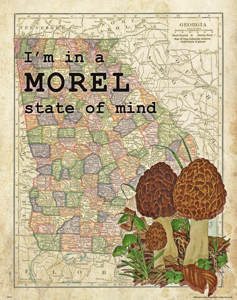 Morel Mushrooms Hunting Club Vintage Georgia State Map Art Print Wall Decor Gift