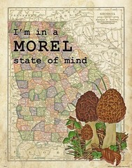 Morel Mushrooms Hunting Club Vintage Georgia State Map Art Print Wall Decor Gift