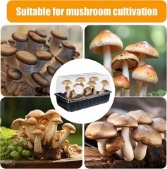 High-Efficiency 2.5in Mushroom Filter Disks – 12PCS for Optimal Gas Exchange