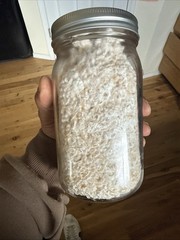 32Oz Short Grain Brown Rice Grain Inoculate Jar (3)