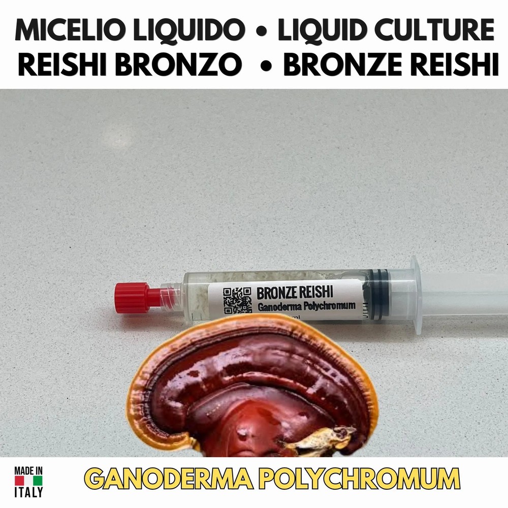 Ganoderma polychromum Reishi Bronze Liquid Culture 10ml Premium Mycelium