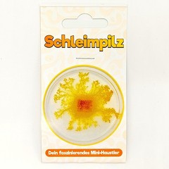 Slime Mushroom – Your Fascinating Mini Pet / Slime Mold / Physarum / Blob