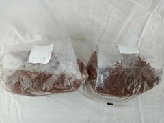 2 All in One Mushroom Grow Bags Sterilized 3.5lb GROWING BIO-BAG KIT FAST SHP[A]