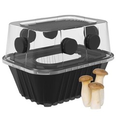 Mushroom Growing Kit Monotub Stackable Grow Box Fruiting Chamber Fae Filters Use