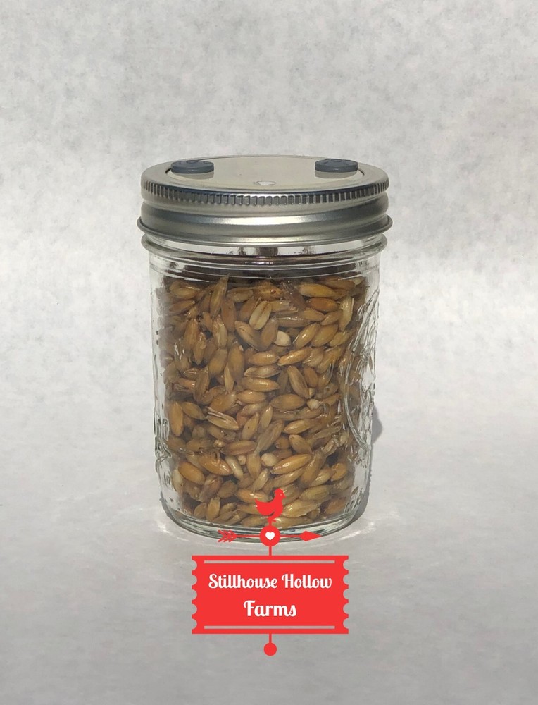 Whole Oat Jars, Pre-Sterilized and READY TO GROW! Oat Tek