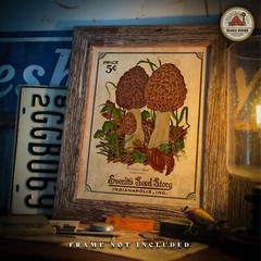 Morel Mushrooms Art Print 11×14 Mushroom Hunting Artwork Cabin Wall Decor Gift