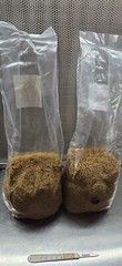 The Best Grain Bags for Your Needs 2.2 lbs. Organic Millet w/Injection Port