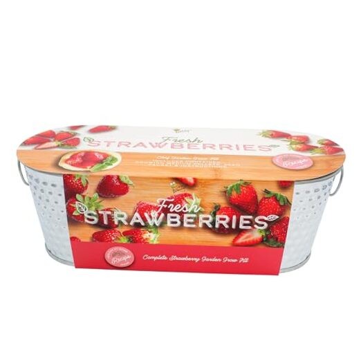 Seeds Strawberry Grow Kit Easy Indoor Windowsill Garden with Decorative Metal