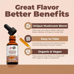 MARYRUTH’S Mushroom Complex | Lion’s Mane | Turkey Tail | Reishi Mushroom | S…