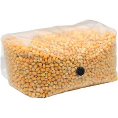 Sterilized Popcorn Grow Bag (25lbs)