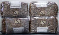 12 x one pound sterilized rye grain bags with injection ports mushroom substrate