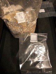 Unicorn 14a Mushroom Grow Bags 10x FREE USA SHIPPING