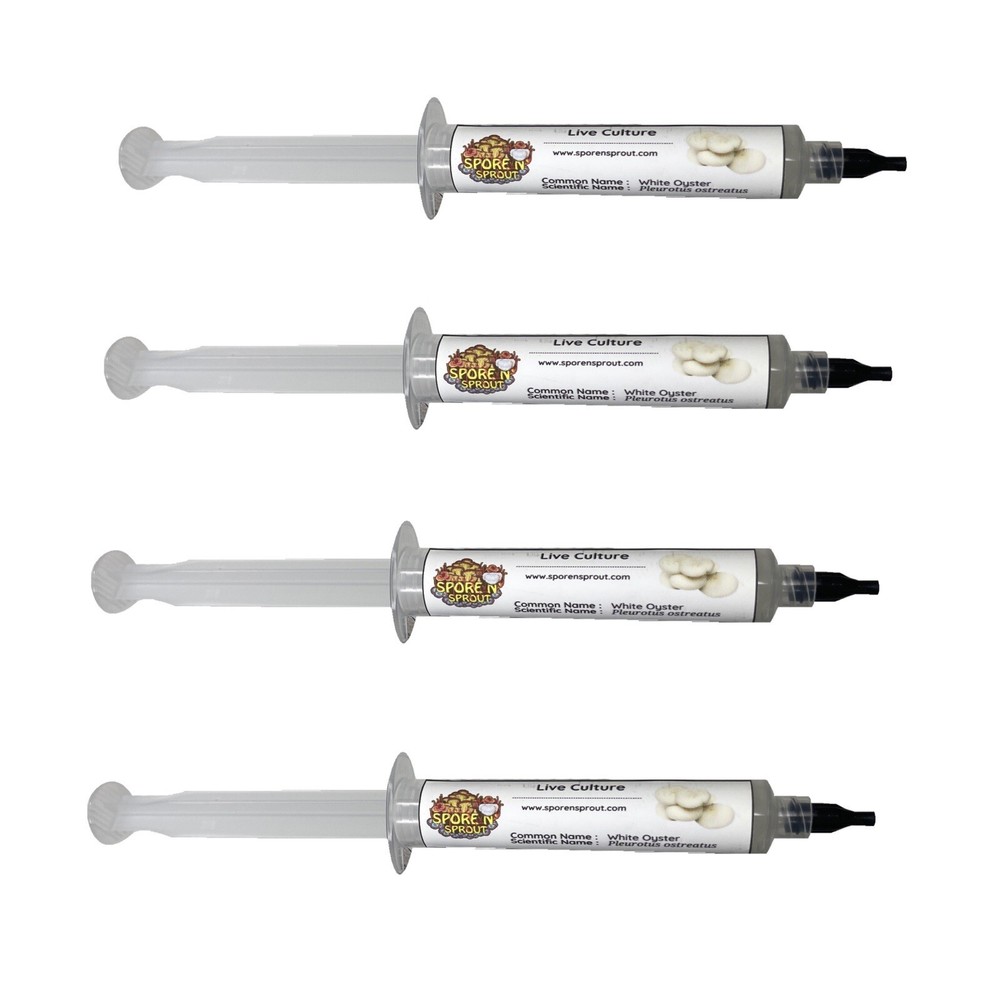 4 Pack WHITE OYSTER Gourmet Mushroom Liquid Culture