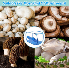 35.5×23.5×23.5 inches, Collapsible Mushroom Grow Bags, Mushroom Grow Kit, Porta