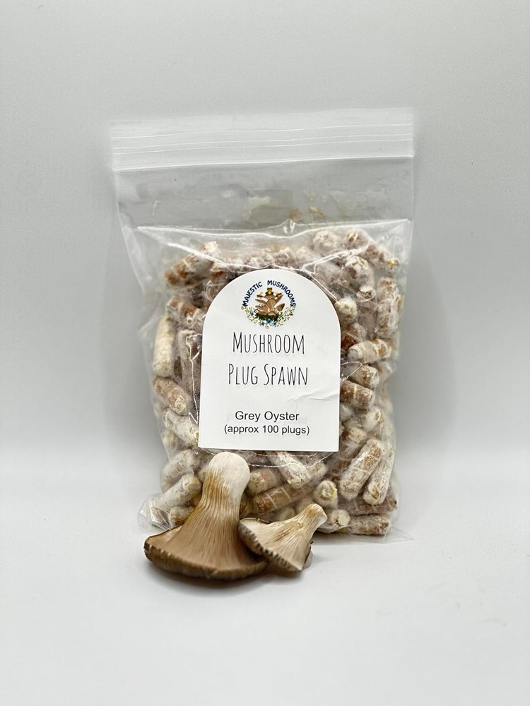 100+ Organic Grey Oyster Gourmet mushroom Plugs for log inoculation – FREE SHIP