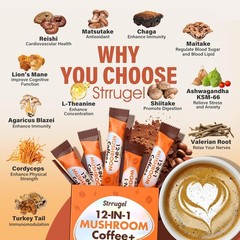 Organic Mushroom Coffee with Lion’s Mane & Reishi – 9 Functional Mushrooms + Ash