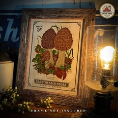 Vintage Kansas Seed Packet Morel Mushrooms Art Print 11×14 Kitchen Wall Decor