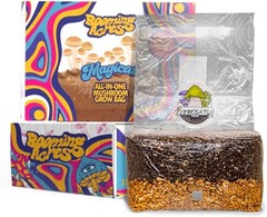 The Magical 5lb All-in-One Mushroom Grow Bag | Mushroom Grow Kit | Harvest Yo…