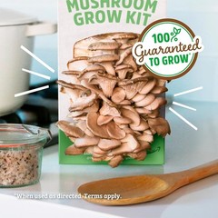 Indoor Mushroom Kit with Organic Soil, Simple Steps to Grow Gourmet Mushrooms