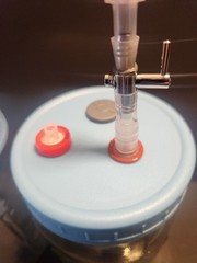 Mushroom Liquid Culture Luer Lock Lid Extraction System, Wide Mouth