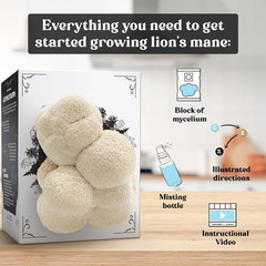 Organic Lion’S Mane Mushroom Growing Kit – Indoor Gardening Kit for Fresh Gourme
