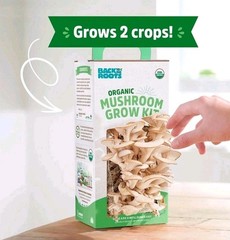 Back to the Roots Organic Mushroom Growing Kit, Harvest Gourmet Oyster Mushrooms