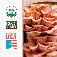 Pink Oyster Mushroom Growing Kit Organic Indoor Planting Easy Gourmet Harvest