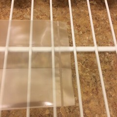 10 Petri Dishes Bacterialogical Potato Dextrose Agar Pre-Made Sterile 60x15mm