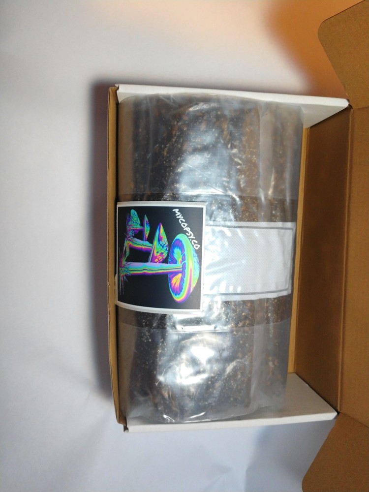2lb–Best–All in one mushroom grow bag.