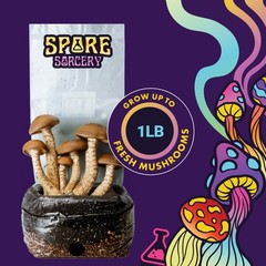 2 LB Mushroom Grow Bag – Nutrient-Enhanced, Injection Port, Easy Spore Growing!