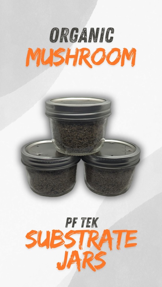 6 – Organic Fast Growing Mushroom Substrate Jars PF TEK BRF Sterilized Half Pint