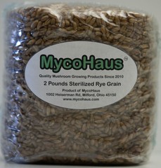 MycoHaus 8 lbs ( 4 pack ) sterilized rye grain berries mushroom spawn grow bag