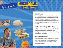 Bella Bora Still Air Box Mycology (Sturdy) by US Mycologists Upgraded V2 (Large)