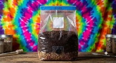 5lb Magic Mushroom All in One CVG Grow Bag with Grain – Ready to Inoculate
