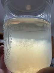 Professional Liquid Culture Premix with Soy-Peptone 100g Pouch