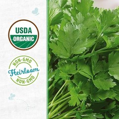100% Organic Seed Packet – Parsley ‘Italian Large Leaf’ 420mg