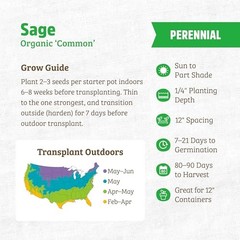 100% Organic Seed Packet – Sage ‘Common’ 140mg Herbs