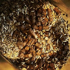 5lb Sawdust/Grain Spawn Mix