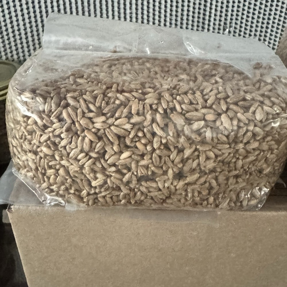 2 lb Sterile Rye Spawn Bag W Injection Port-mushroom Substrate