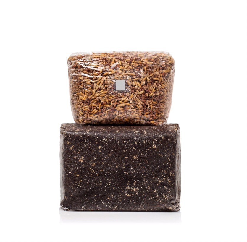 Monotub Refill, 5lbs Exotic Substrate & 3lbs Whole Oats Mushroom Grow Kit Set🍄