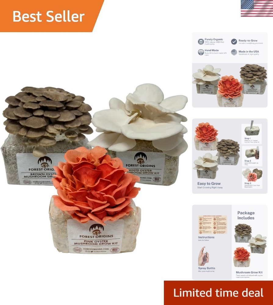 Mushroom Grow Kit – 3-Pack Pink, Brown, White Oyster for Home Gourmets