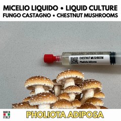 Chestnut Mushroom Liquid Culture – Fatty Pholiota – Professional Mycelium