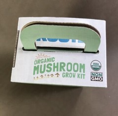 Gourmet Oyster Mushroom Back to the Roots Organic Growing Kit, Harvest 10 days