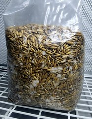 Monotub Refill, 10lbs Exotic Substrate & 4lbs Whole Oats, Mushroom Grow Kit Set