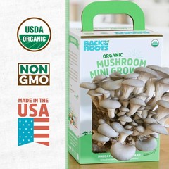 Back to the Roots Organic Mini Mushroom Grow Kit, Harvest Gourmet Oyster